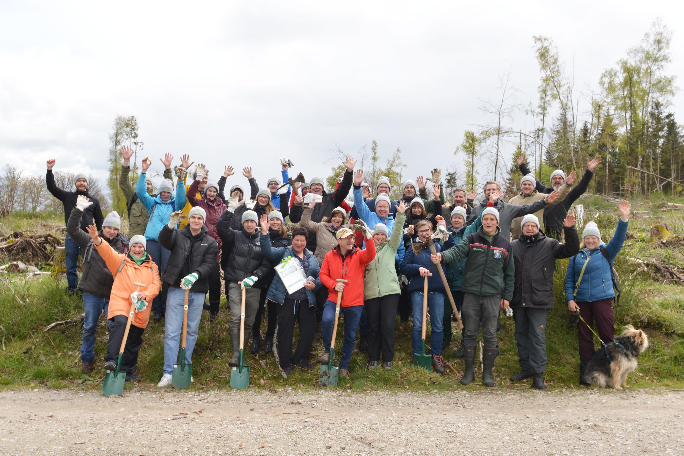 1400 Bäume für den Wald in Schmitten – ein großartiges Engagement von Fresenius am Tag des Baumes