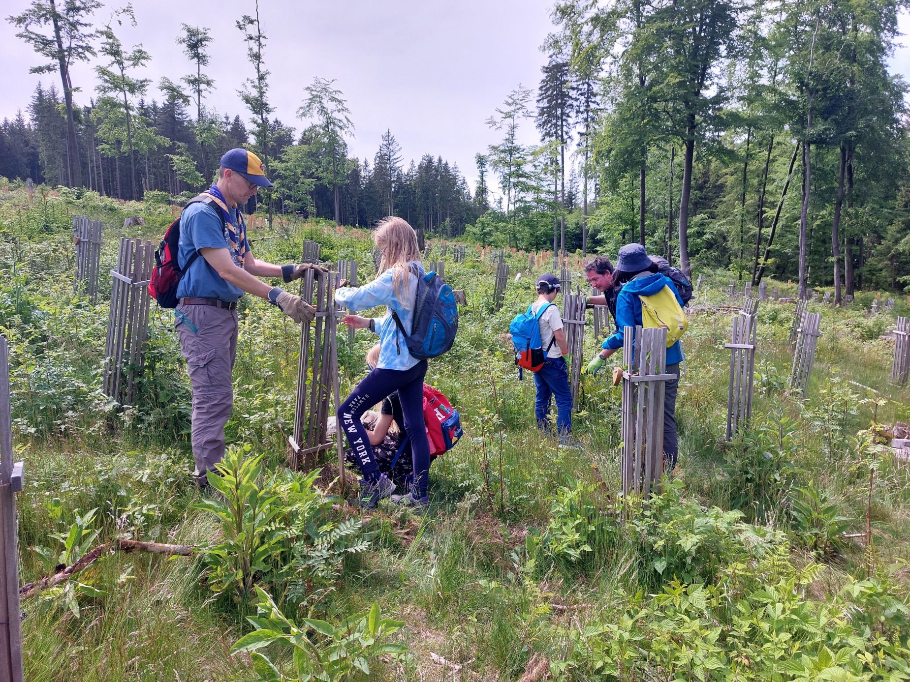 Ab in den Wald – Kulturpflege-Aktion Nr. 1 – Starker Einsatz der Boy Scouts