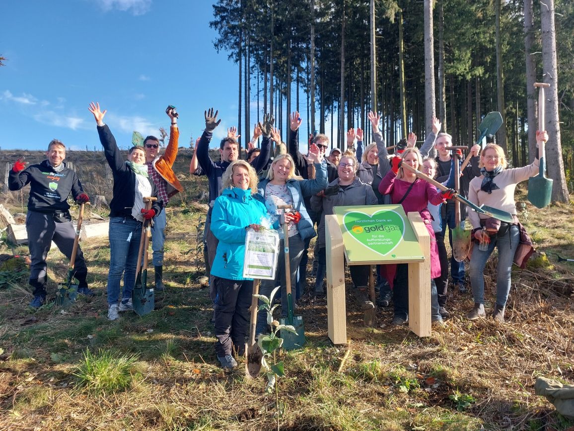 Ab in den Wald Nr. 1 : Pflanzaktion mit goldgas GmbH, Eschborn
