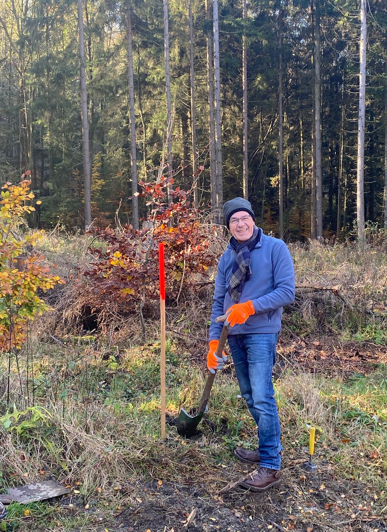 Ab in den Wald Nr. 6 – Gemeinsam verwurzeln mit den Herzensbäumen in der Herzenswald-Allee