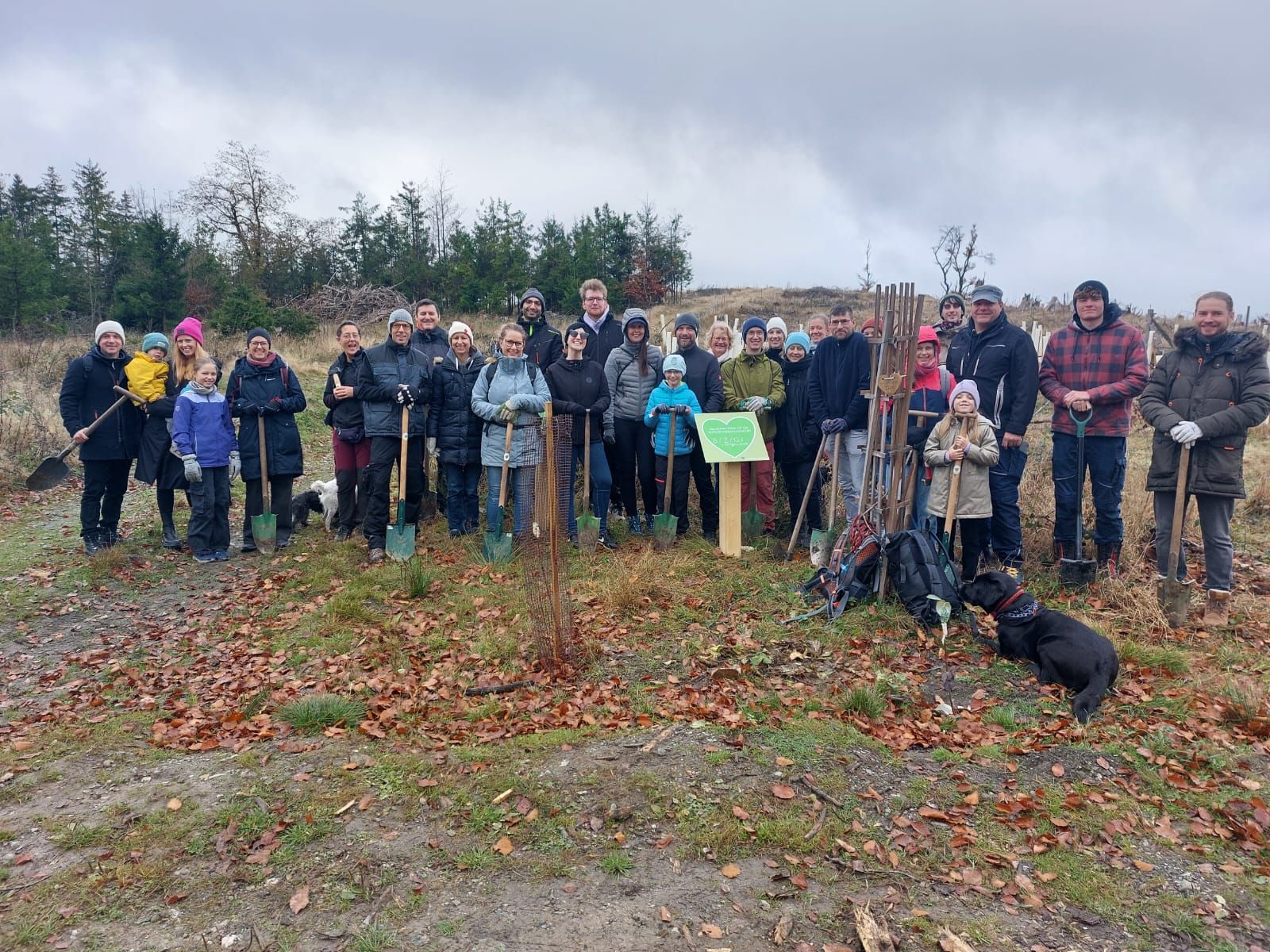 Ab in den Wald Nr. 5: SYZYGY Techsolutions – ein starkes Team