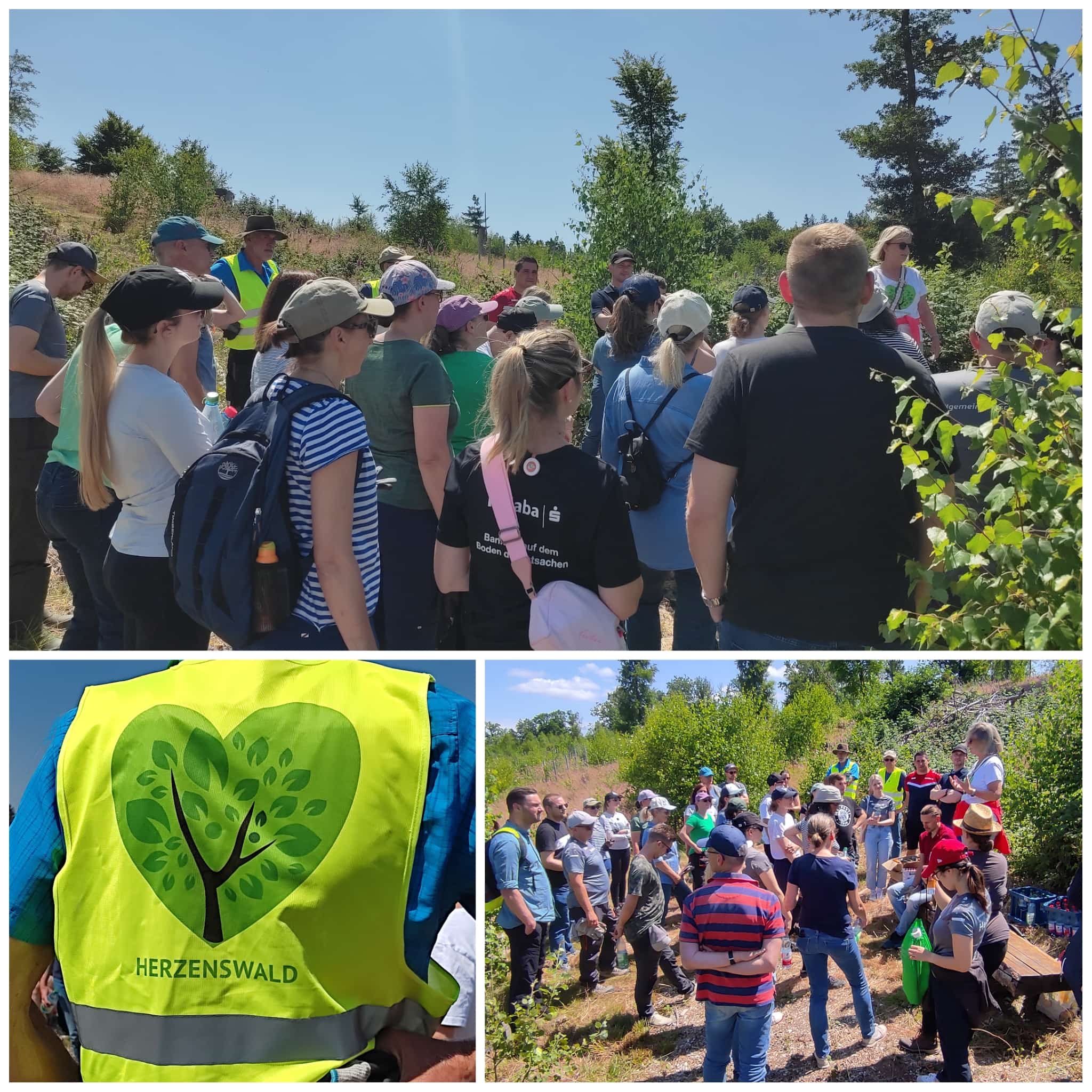 🌳 Waldpflegeaktion im Herzenswald 1 – Danke, Helaba-Team! 🌳