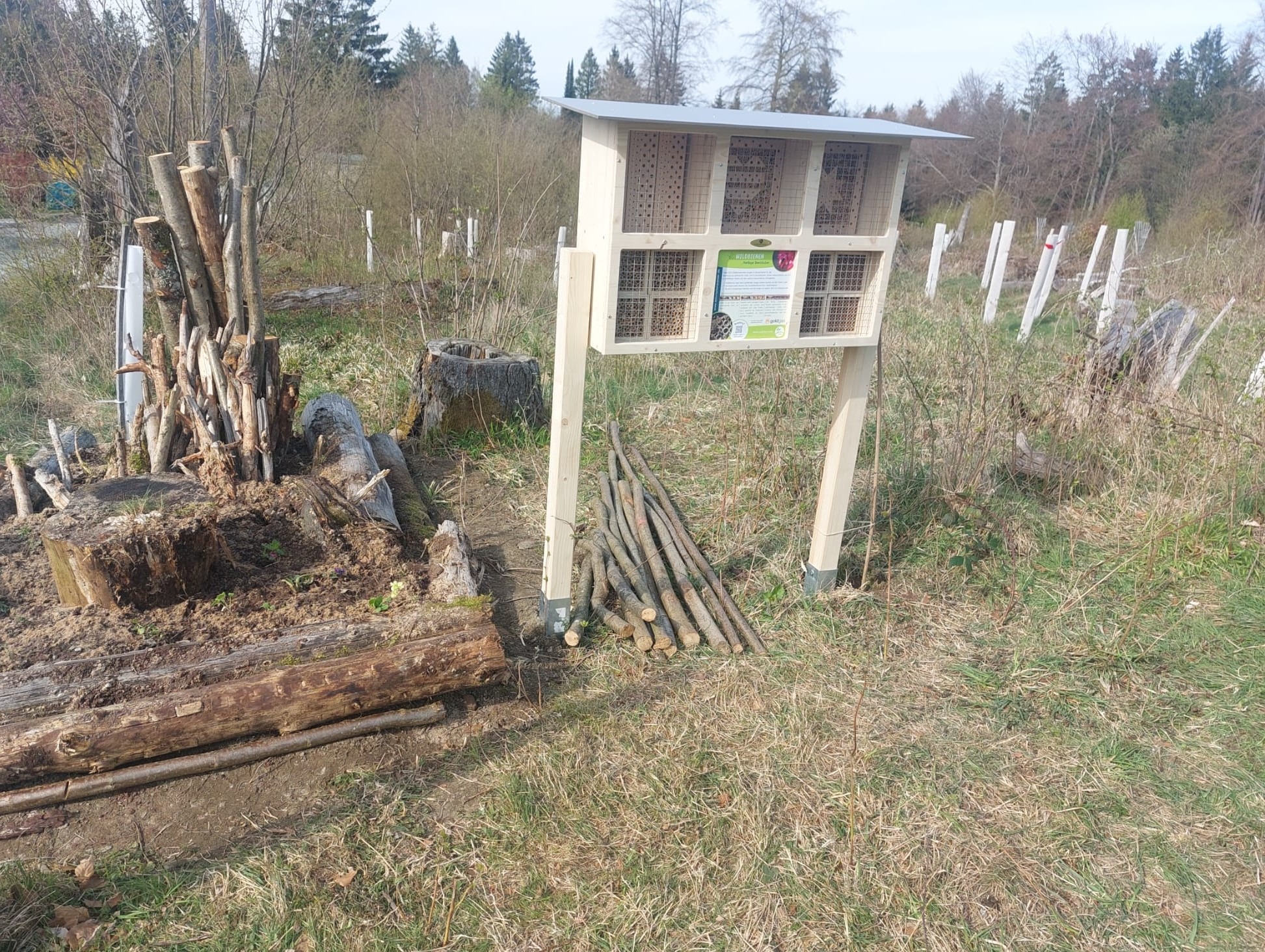 🌿🐝 Gemeinsam für mehr Artenvielfalt im Schmittener Wald! 💚