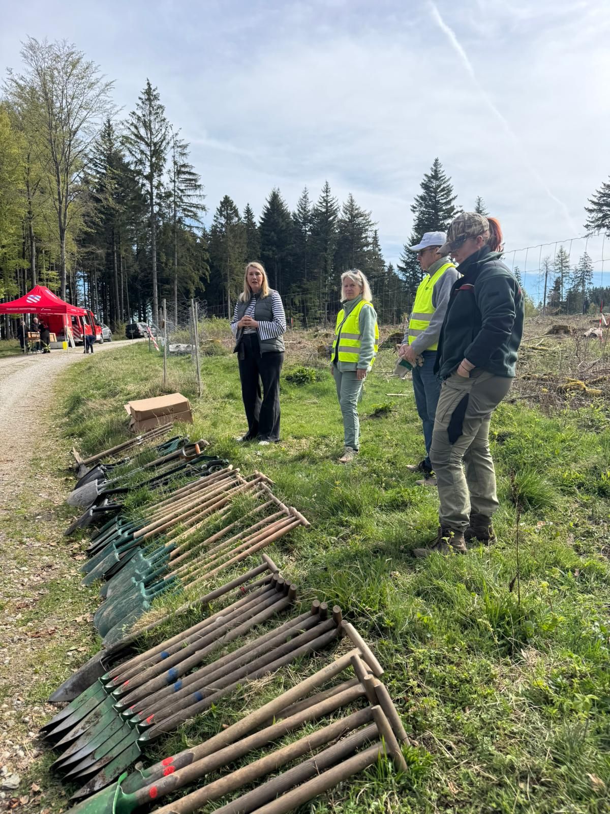 🌳💚 Frühling im Herzenswald – ein Tag voller Leben, Lachen und Verbundenheit
