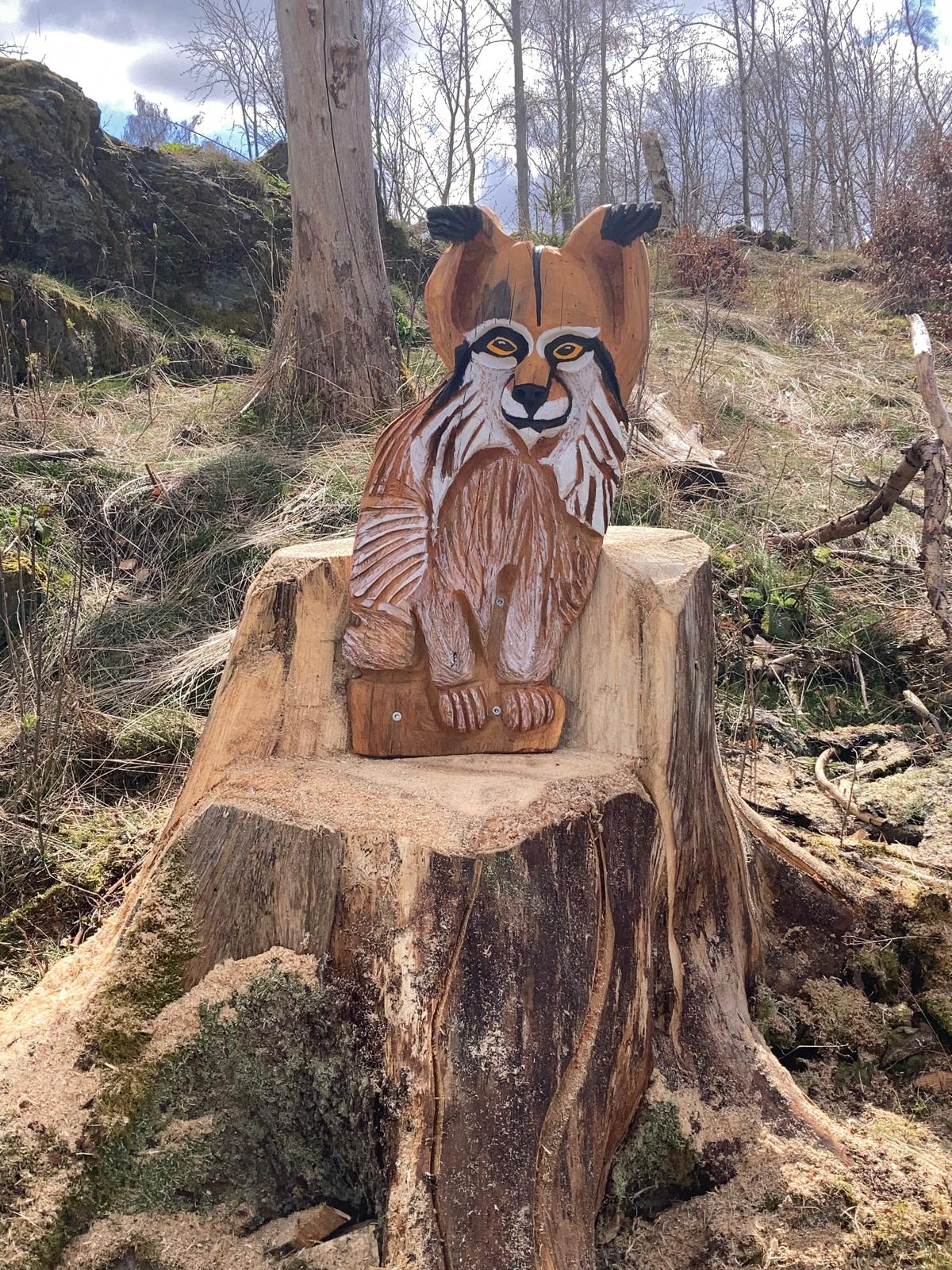 Ein neuer Bewohner im Herzenswald 1……