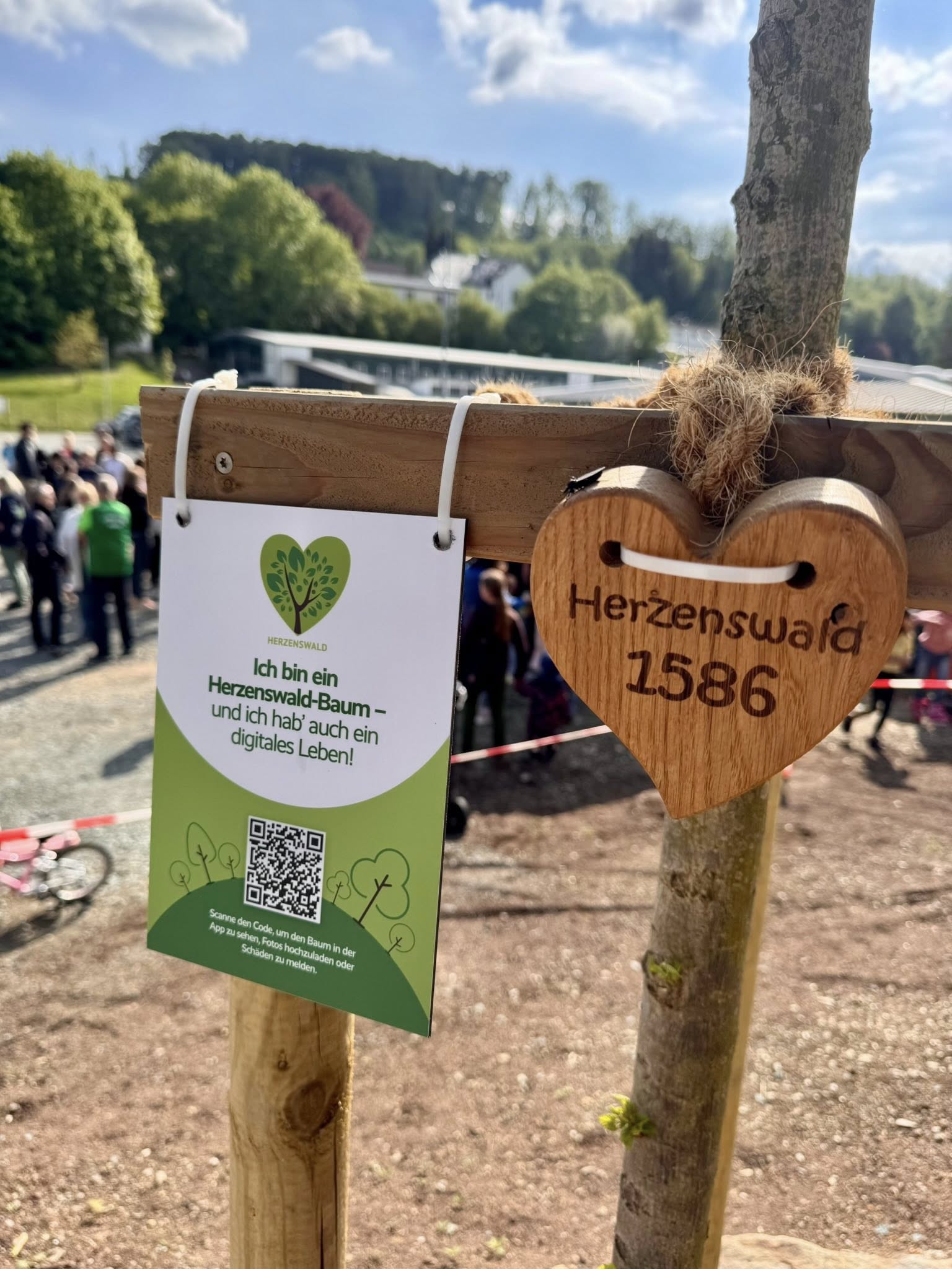 Mehr Grün für die neue Freizeitanlage in Schmitten
